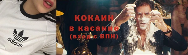 крисы Бородино