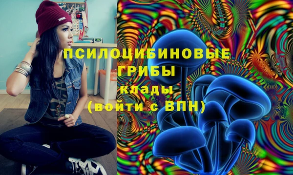 mdpv Бугульма
