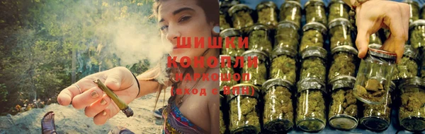 ешки Володарск