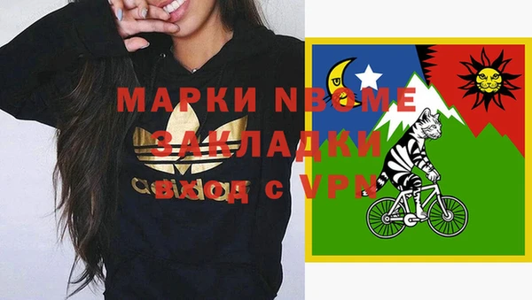 крисы Бородино